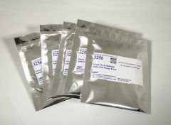 Green Tea-Containing Solid Oral Dosage Form