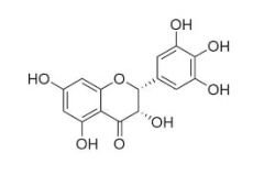 Isodihydromyricetin