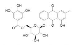 Chrysophanol-8-O-beta-D-(6'-O-galloyl)-glucopyranoside