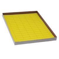 Label Sheets, Cryo, 38x19mm, for General Use, 20 Sheets, 60 Labels per Sheet, White, Blue, Green, Orange,Red, Yellow