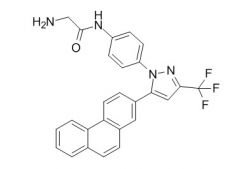 RCLCFN60198