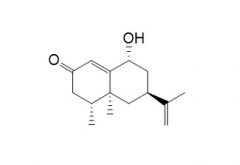 Oxyphyllol B