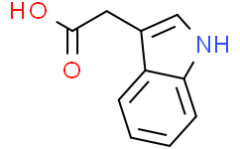 Indole-3-acetic acid