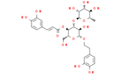 Acteoside; Verbascoside