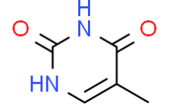 Thymine