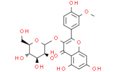 Isorhamnetin-3-O-galactoside