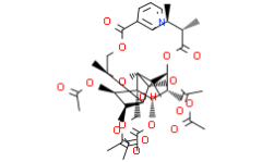 Euonymine