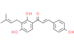 Corylifolinin