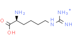 L-Homoarginine