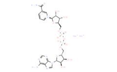 reduced nicotinamide adenine dinucleotide (NADH),???