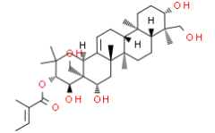 O-Tigloylgymnemagenin, 21-