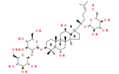 vina-ginsenoside R4