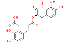 Salvianolic acid D