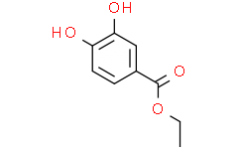 Ethyl 3,4-dihydroxybenzoate