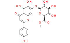 Scutellarin methyl ester