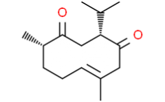 Neocurdione