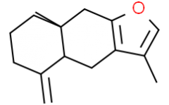 Atractylon