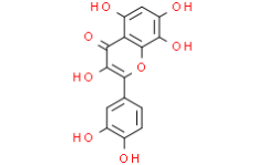 Equisporol