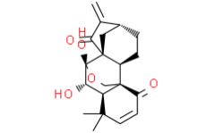 Eriocalyxin B