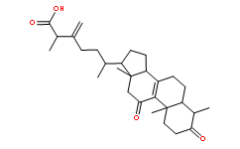 (R,S)-Antcin A