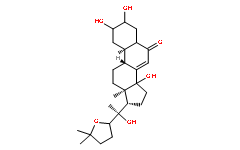 Stachysterone D