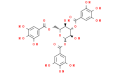 1,3,6-TRI-O-GALLOYL-B-D-GLUCOSE