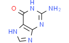 Guanine