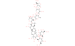 PlatycodinD2