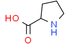 D-proline