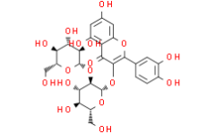 Quercetin 3-O-sophoroside