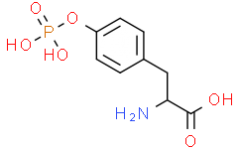 L-Tyrosine,O-phosphono-