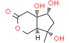 Buergerinin B