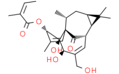 Ingenol 3-Angelate