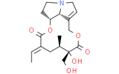 Ursamine