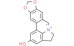 Lycobetaine