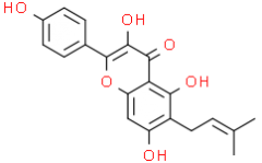 Licoflavonol