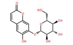 Cichorin