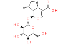 8-Epideoxyloganic acid