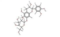 Catechin 7-O-?-D-glucopyranoside