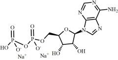 Adenosine-5'-Diphosphate Disodium Salt