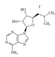 Adenosine Related Compound 2 Iodide