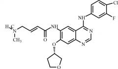 Afatinib Impurity G