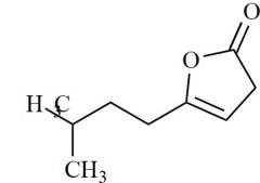 Annonacin Impurity 1 (5-(3-Methyl-butyl)-3H-furan-2-one)