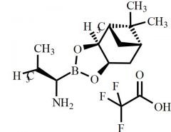 Bortezomib Impurity 22