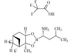 Bortezomib Impurity 37 Trifluoroacetate