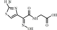 Cefdinir Impurity 2 (Thiazolylacetylglycine Oxime)