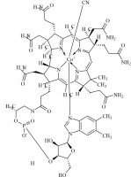 Cyanocobalamin (Vitamin B12)