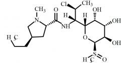 Clindamycin Sulfoxide