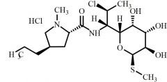 Clindamycin HCl