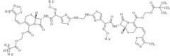 Cefditoren Pivoxil Dimer